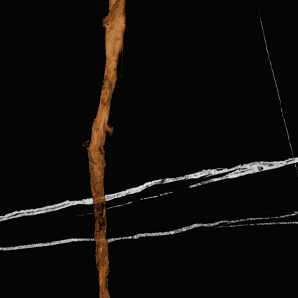 SAHARA NOIR